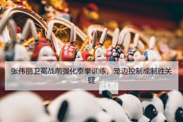 zhang-wei-li-wei-mian-zhan-qian-qiang-hua-tai-quan-xun-lian-long-bian-kong-zhi-cheng-zhi-sheng-guan-jian-3-429.jpg