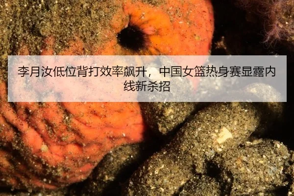 li-yue-ru-di-wei-bei-da-xiao-lv-biao-sheng-zhong-guo-nv-lan-re-shen-sai-xian-lu-nei-xian-xin-sha-zhao-3-126.jpg