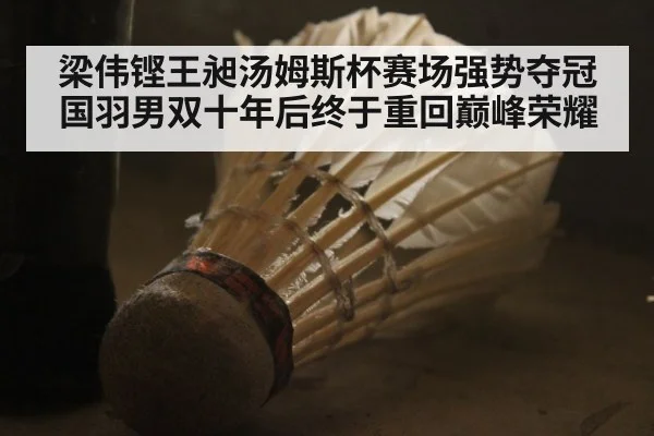梁伟铿王昶汤姆斯杯赛场强势夺冠 国羽男双十年后终于重回巅峰荣耀