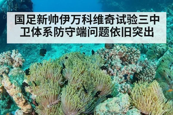 国足新帅伊万科维奇试验三中卫体系防守端问题依旧突出