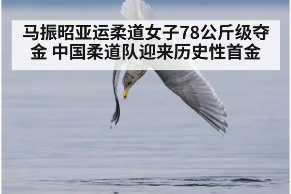 马振昭亚运柔道女子78公斤级夺金 中国柔道队迎来历史性首金
